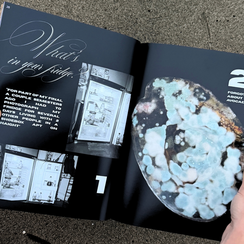 Issue 002: This is a Food Diary